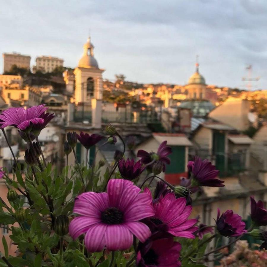 Il Geco Hotel Genoa Bagian luar foto